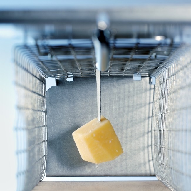 Jyrsijöiden ennaltaehkäisy